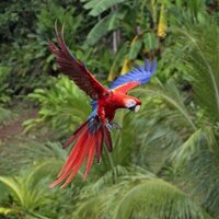 Amazon World ZooPark (@zoo_rach) 's Twitter Profile