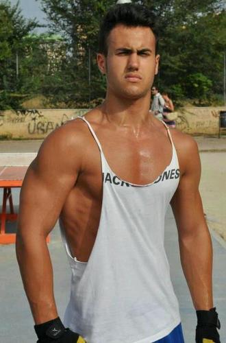 anselcrsa Profile Picture