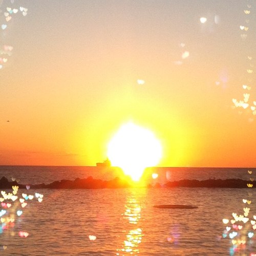 lai20783's profile picture. 