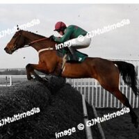 Thomas Messenger (@thmessenger) 's Twitter Profile Photo