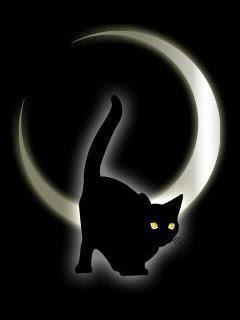 kagetutooya0's profile picture. まずは人を吊ろう