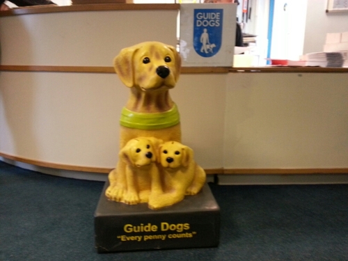 Local group of friends who support Guide Dogs. All views , thoughts are our own & not Guide Dogs