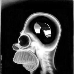 A good system is a sound system           P E A C E @matwrzk.bsky.social