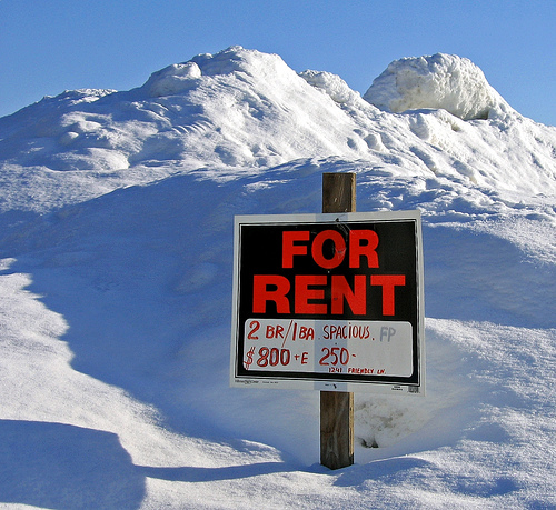 Agent11224's profile picture. Double Agent Enriquez of USO 1819