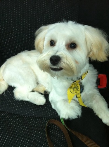 Squidwardoo's profile picture. Just living the dream....23 hours a day