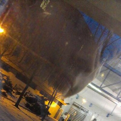 Profile Picture of Dana K (@KlingerDana) on Twitter