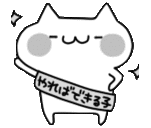 もこ (@081107moco) Twitter