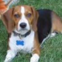 sarita_corazon_'s profile picture. 