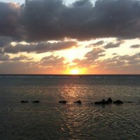 mohammed h (@ittihadee2007) 's Twitter Profile