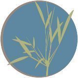 Nestled in the Village of Olde Stoney Creek. Serenity Now specializes in Massage Therapy, Laser Therapy, Full Esthetics and Vita Liberata Organic Spray Tanning