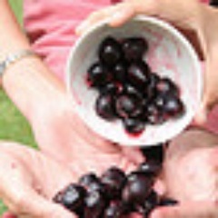 Great local food, drink and travel. Writer and author on home-based business. New book 'Cook, Wrap, Sell' out now!
