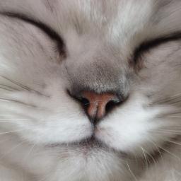 mw320516's profile picture. はじめまして！動物好きの誠司です。ネッからの島根ッ子。動物界ではステータスの高い地です。海・山の自然と幸に恵まれています。が、ヒトはまったく洗練されていません。
陸上競技・テニス・サッカーのスポーツ観戦も楽しみの一つです。