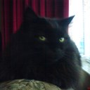 Neil Glover - @NeiGlover - Twitter