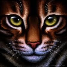 I am Tigerclaw and I am Deputy of ShadowClan now. I will Fight untill I win and if I dont win I will Die trying #Single #FightToWinOrDieTrying