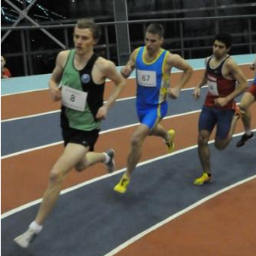 dancheeseman's profile picture. 