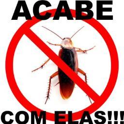 Não gosto de baratas.