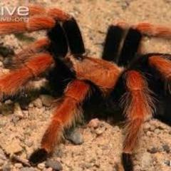 ScottWaldon1's profile picture. West coast resident by way of Detroit, lover of alternative music, good novels, intriguing conversation, able to sit on both sides of the fence.