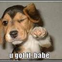 lacey ranee king - @RaneeLacey - Twitter