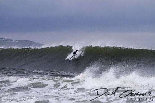 peterrr22's profile picture. 