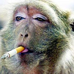 elra2010's profile picture. 