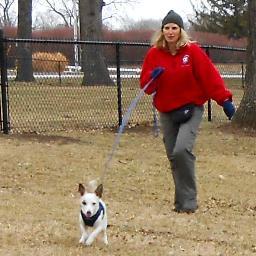 lostpet_help's profile picture. 