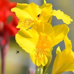 rlcoderch's profile picture. 