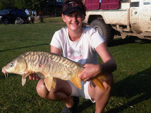 NEW ACCOUNT Diary of a crazy fisher(woman)carp and bass,  educator, wife,  mom to 3 stunning girls, music and art is my soulsoother and an adventurer.
