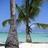 Profile Picture of Fille Des îles 97160 (@@Amanda97239) on Twitter