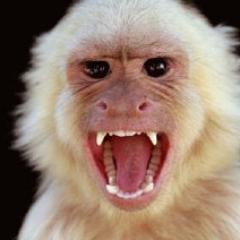 Finally on board with a Twitter account. Time to get my tweet on.
