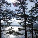 Barb  Singleton - @SingletonBarb - Twitter