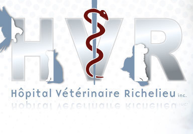 vet_richelieu's profile picture. À l’Hôpital Vétérinaire Richelieu, la santé de votre animal de compagnie est au centre de nos préoccupations.