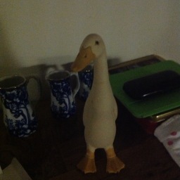 kdrelf4's profile picture. Mum of 4 grown up children plays golf but could do with more practise. Not out of work any more enjoying working and being involved with my grandchildren.