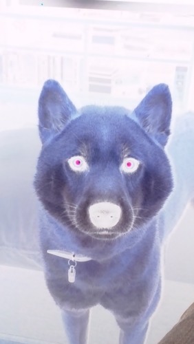 giomma78's profile picture. 