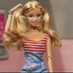 Most popular girl in school. BAAAIII. (Parody) #TeamVanBuren