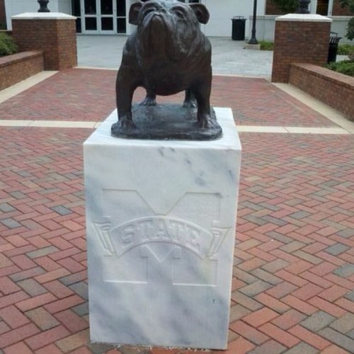 Something about a southern girl. Make me feel right. In a Mississippi morning. She's an angel in flight. #hailstate