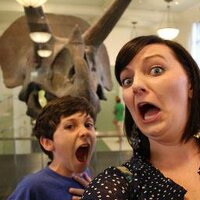 Heidi Krull (@hbkrull) 's Twitter Profile