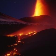 alfaciarli58's profile picture. 