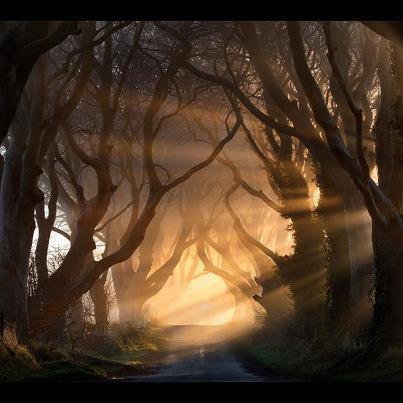 DW1957tkem's profile picture. 