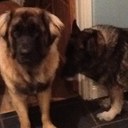 Michelle Reader - @reader_michelle - Twitter