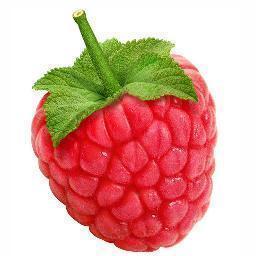 raspberrytalk Profile Picture