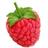 raspberrytalk's profile image