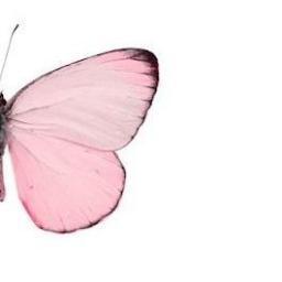 justhavefun_LOL's profile picture. 