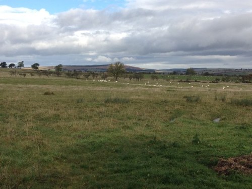 Kempy78's profile picture. Enough said