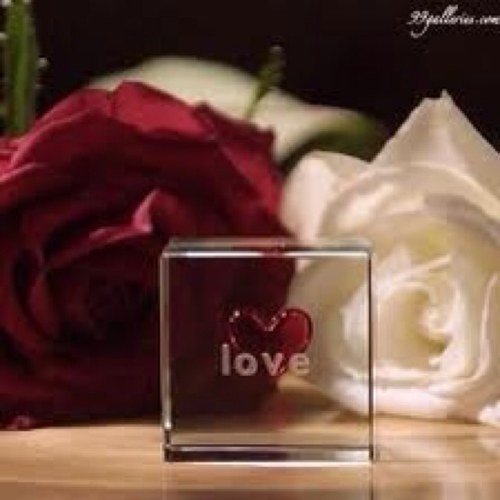 12Fhahad's profile picture. 