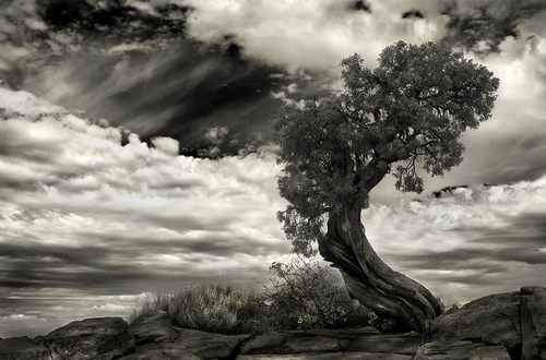 Inn3rThoughts's profile picture. I have too many times censored myself and what I was going to say in fear of being judged. HA not anymore!