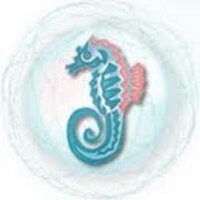 DHS PE (@dhs_peresults) Twitter profile photo