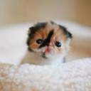 James Carson - @JamesCarson2 - Twitter