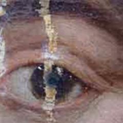 Conservation of paintings from Old Masters 18th to 19th century Modern & Contemporary to Wall paintings. Works with freelancers interns. Museology and Heritage