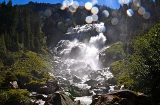 twittatore31's profile picture. Divulga il Verbo !!!