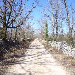 brujmy's profile picture. Compostelle / Camino de Compostela / Saint James way is a wonderful experience. I like to share it with people, seeking for beautiful images and experiences.